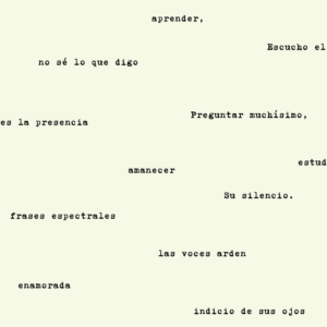 Diarios Alejandra Pizarnik