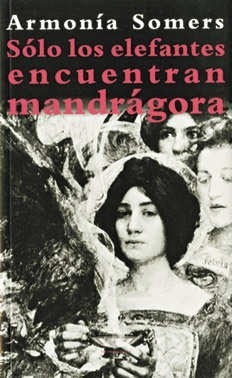 Armonía Somers elefantes