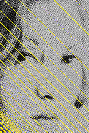 Clarice Lispector Crónicas completas