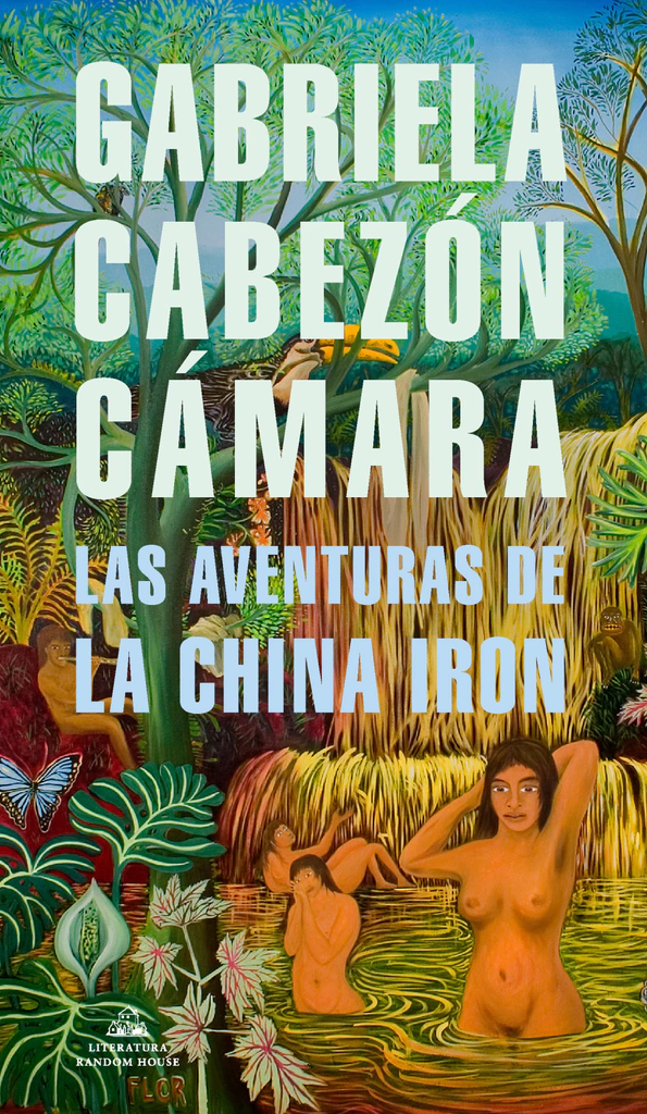 Gabriela Cabezón Cámara china iron