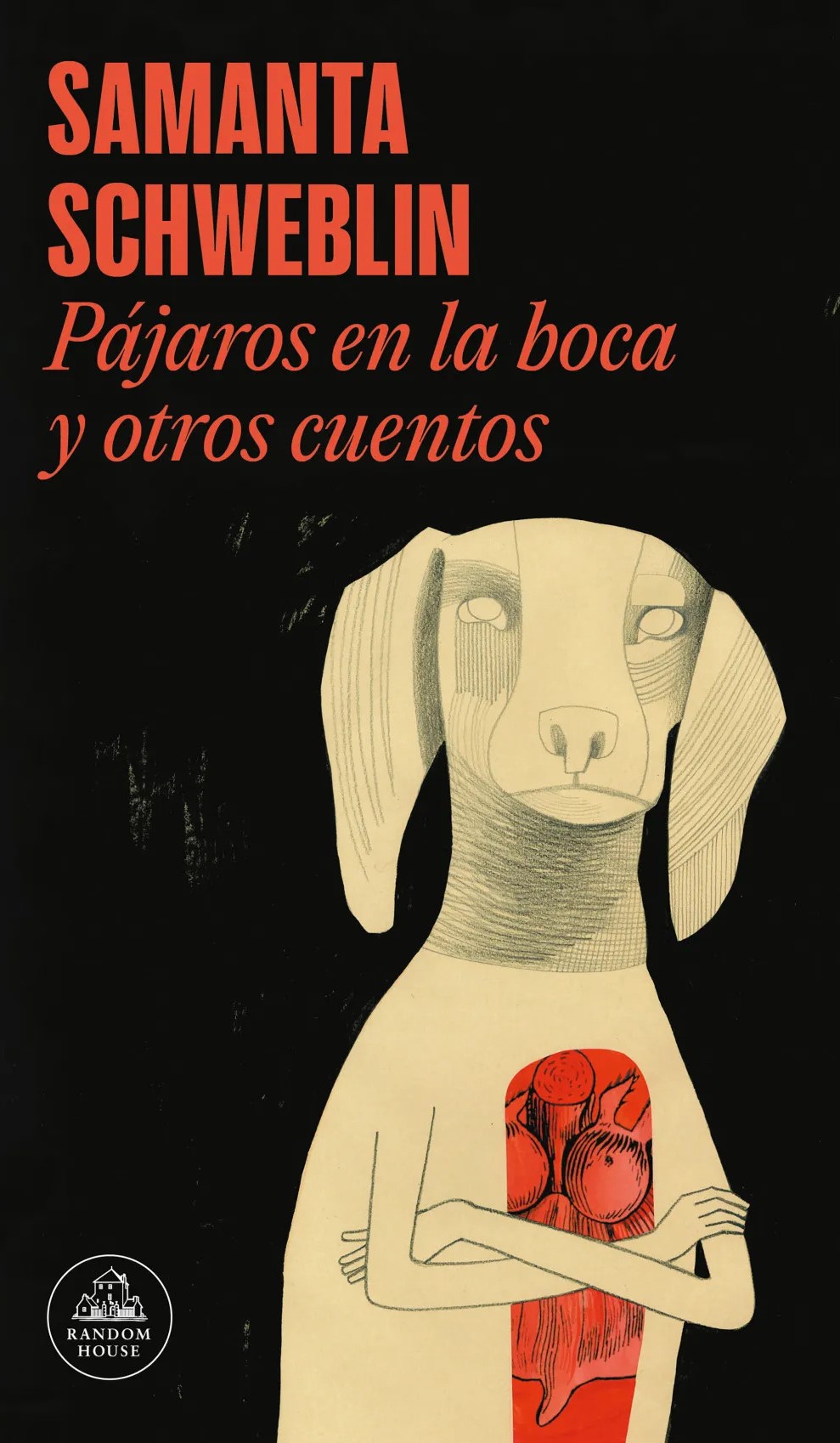 Samanta Schweblin pajaros-en-la-boca-y-otros-cuentos