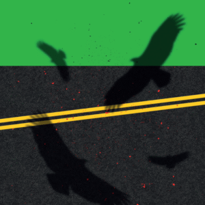 Ana Paula Maia<br>Entierre a sus muertos