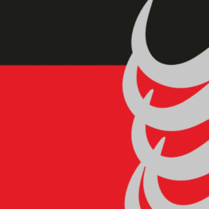 Ana Paula Maia<br>Búfalos salvajes