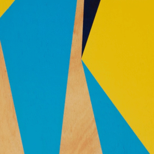 Idea Vitale<br>Disidencias leves