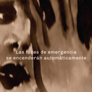 Louise Geisler<br>Las luces de emergencia se encenderán automáticamente