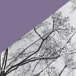 María Teresa Andruetto<br>Cleofé