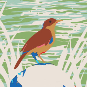 Susana Pampín<br>Arroyo