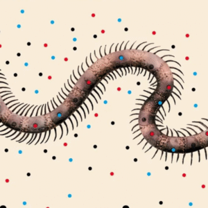 Samanta Schweblin<br>Distancia de rescate