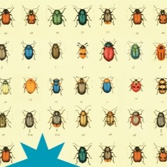 Federico Falco<br>Un cementerio perfecto