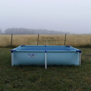 Federico Falco<br>Los llanos