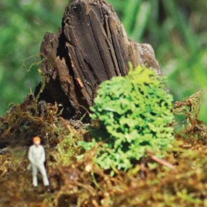 Carolina Sanín<br>Los niños