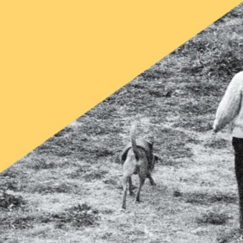 Mariano Blatt<br>La puertita de alambre