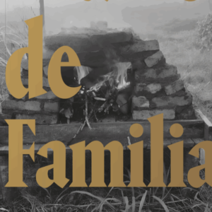 Gabriela Bejerman<br>Diario de familia